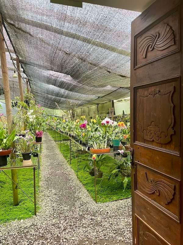 Puerta a colección de orquídeas