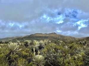 Páramo de Sumapaz