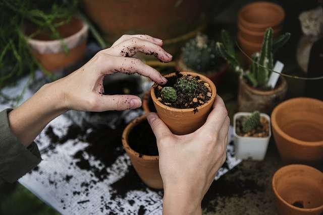 Aprender de Jardinería con estas 8 cuentas