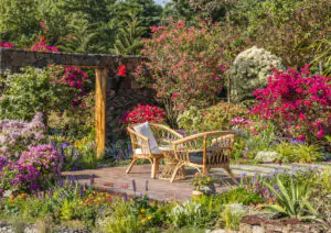 Alternativas al césped para su jardín