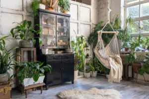 plantas selváticas para interiores