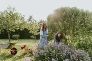 Ejericios para jardineros