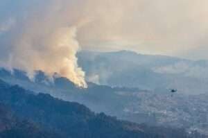 Bosques de eucaliptos quemándose en Bogotá