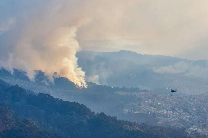 Bosques de eucaliptos quemándose en Bogotá